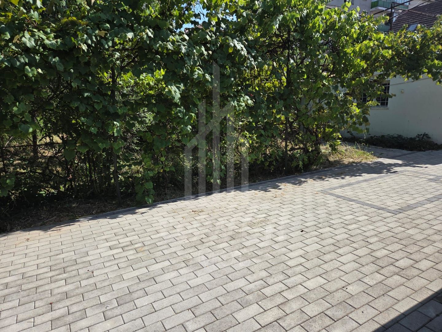 Casă de închiriat | Zona Calea Dumbrăvii - Poză 9