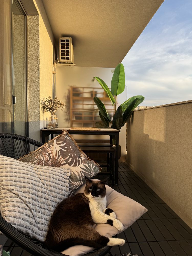 Apartament 2 camera de inchiriat Seban Voda/ Carol / Tineretului - Poză 8