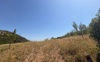 Teren de vanzare intravilan | Moigrad-Porolissum - Poză 3