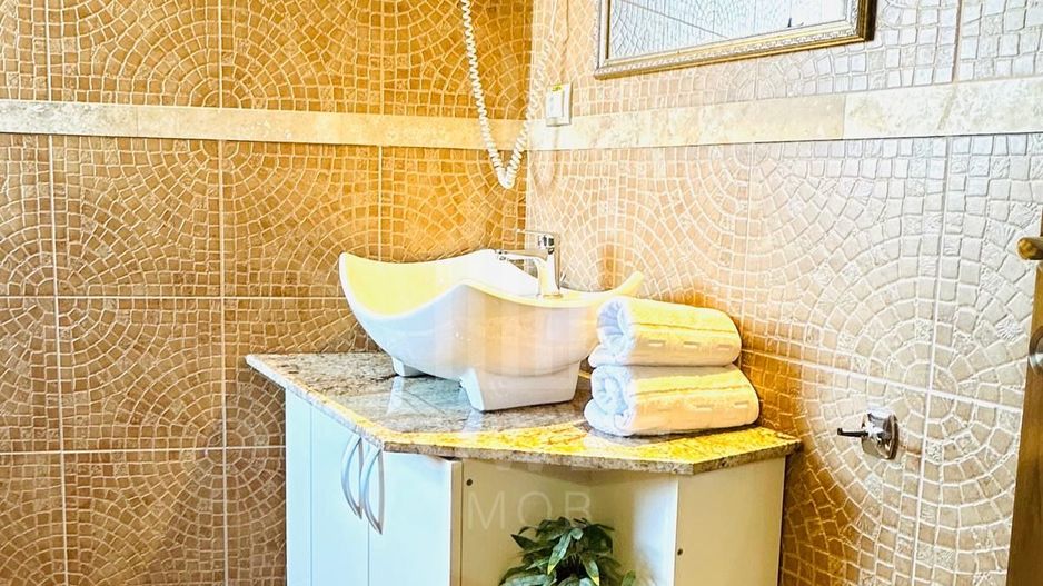 Studio de închiriat-Zona Centrala - Poză 6