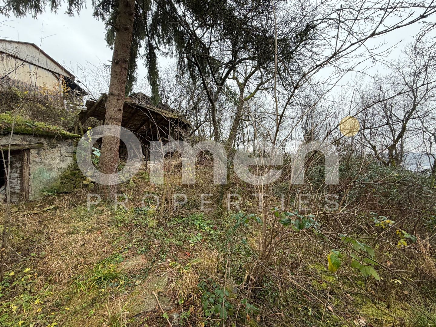 Casa renovabila, cu 6 ari de teren, zona linistita, Baia Sprie - Poză 16