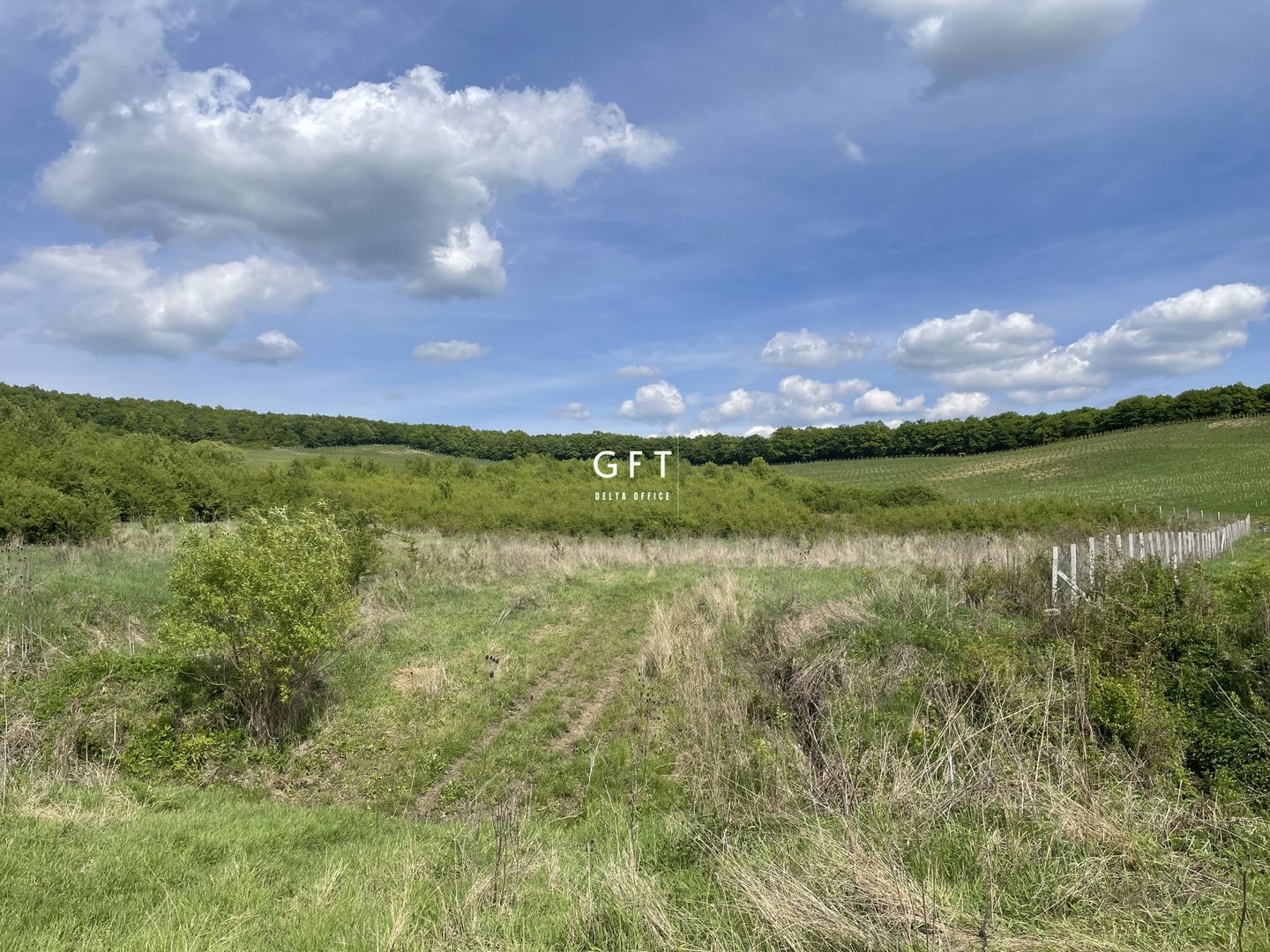 Teren extravilan 10000 mp, Jelna. - Poză 8