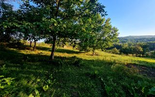 Teren Intravilan 3250 mp / Casa batraneasca / Pausesti Maglasi - Poză 4