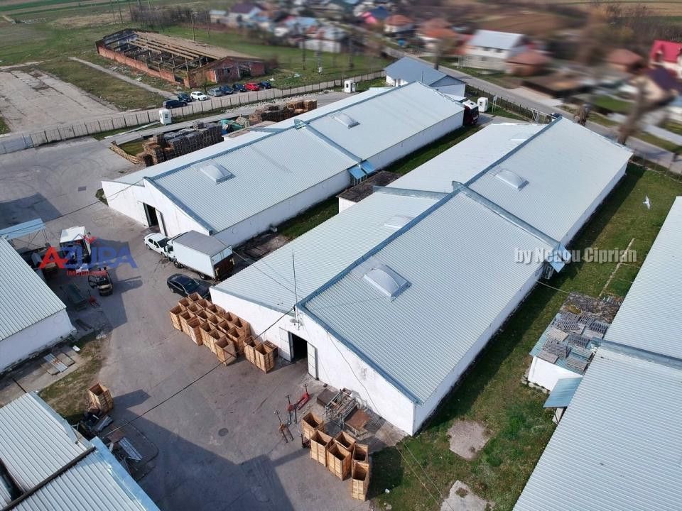 COMISION 0% - HALE Calinesti Arges - Poză 16