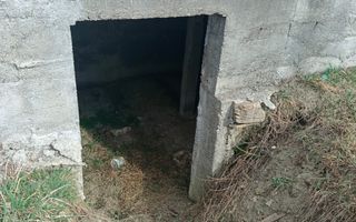 Teren intravilan de vânzare Horodniceni Suceava - Poză 5