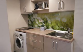 Grand Mobilis Imobiliare Apartament 2 camere(1 dormitor) de închiriat - Poză 3