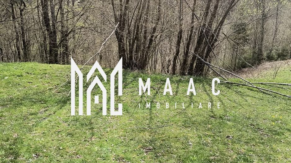 Un colt de rai in Apuseni I viața ca pe vremuri - Poză 7