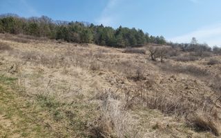 Teren de vanzare in Corunca –5.000 mp /55.000 EUR - Poză 6