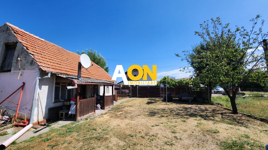 De vanzare teren 10.651mp intravilan, parcelabil, Oarda de Sus - Poză 3