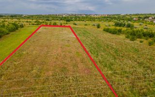 Vânzare, teren, 50 ari, str. Tineretului, Trușeni - Poză 2