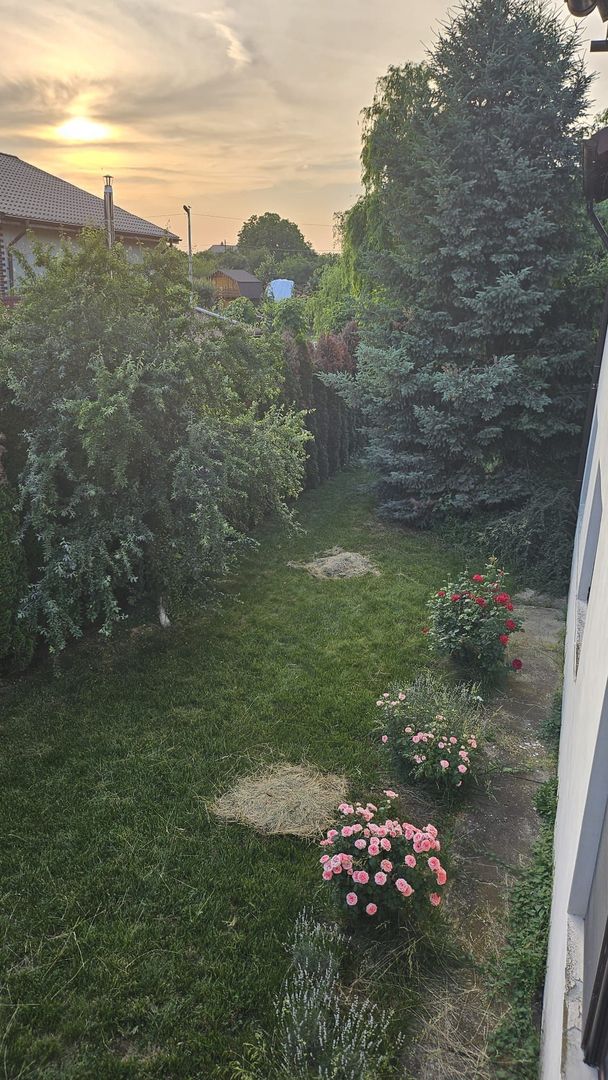 Vila 8 camere Dascalu - Poză 17