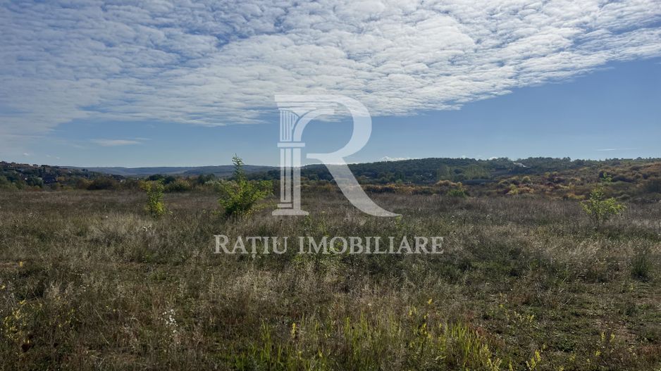 Teren intravilan 2500 MP | Paleu | Bihor - Poză 2