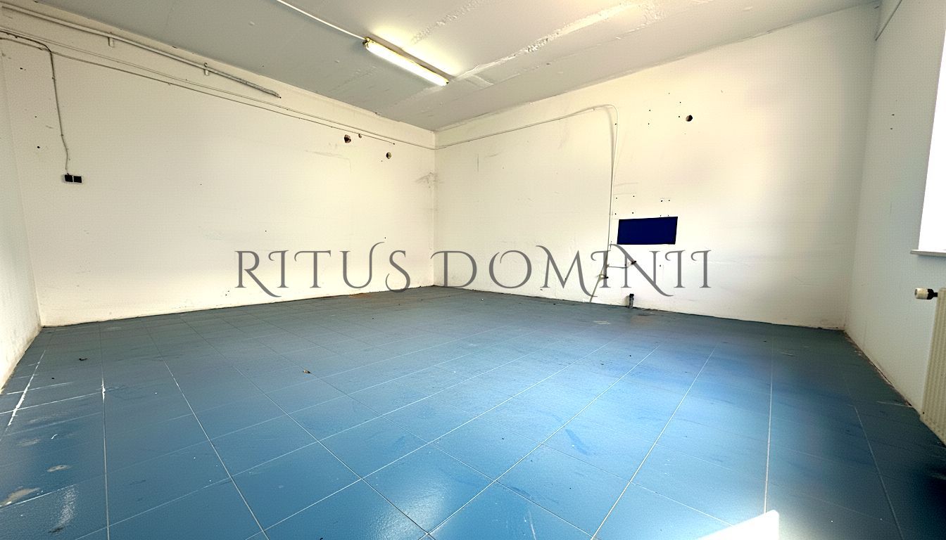 Hale industriale de Inchiriat, Oradea-Vest, 120m2 - Poză 5