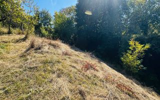 TEREN INTRAVILAN 3234 MP LEREȘTI VOINEȘTI ARGEȘ - Poză 18