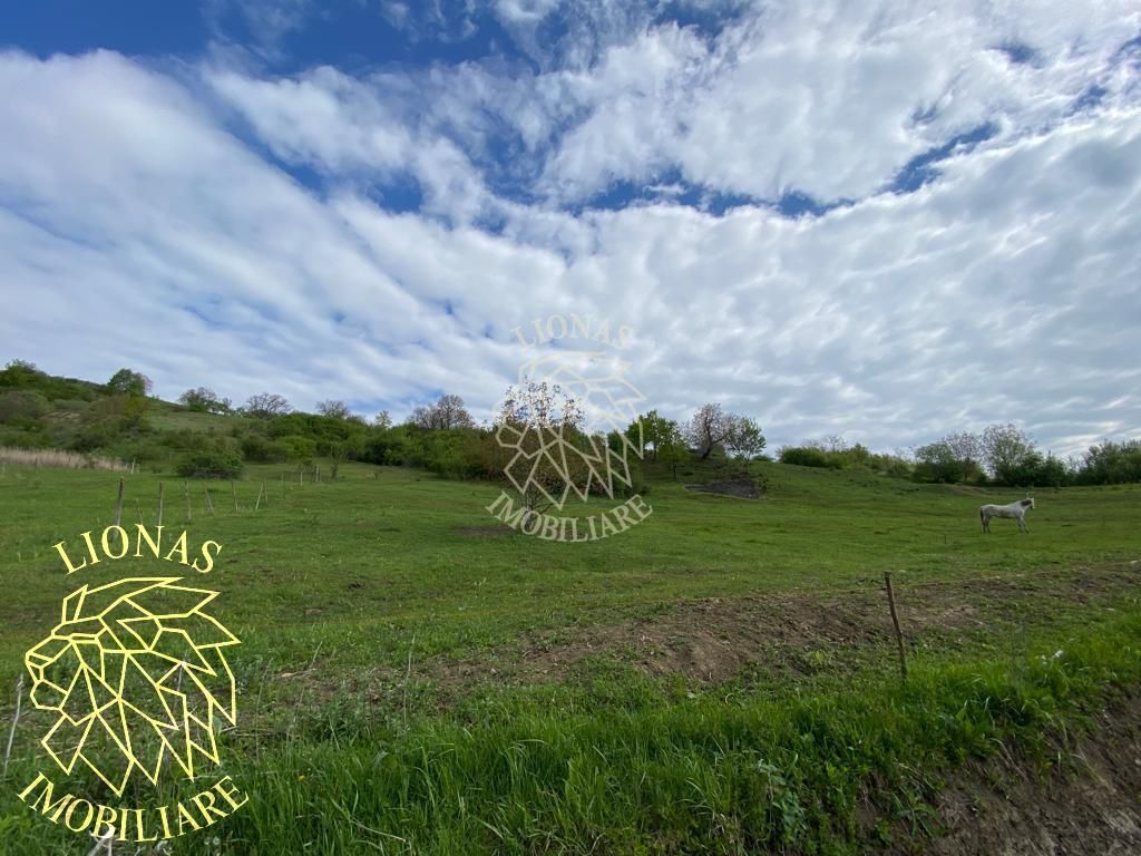 Teren Extravilan - Ghinda - 3.5000mp-Parcelabil - Poză 7