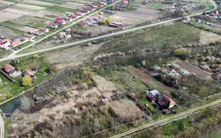 Teren intravilan Balint 22.500 mp - Poză 5