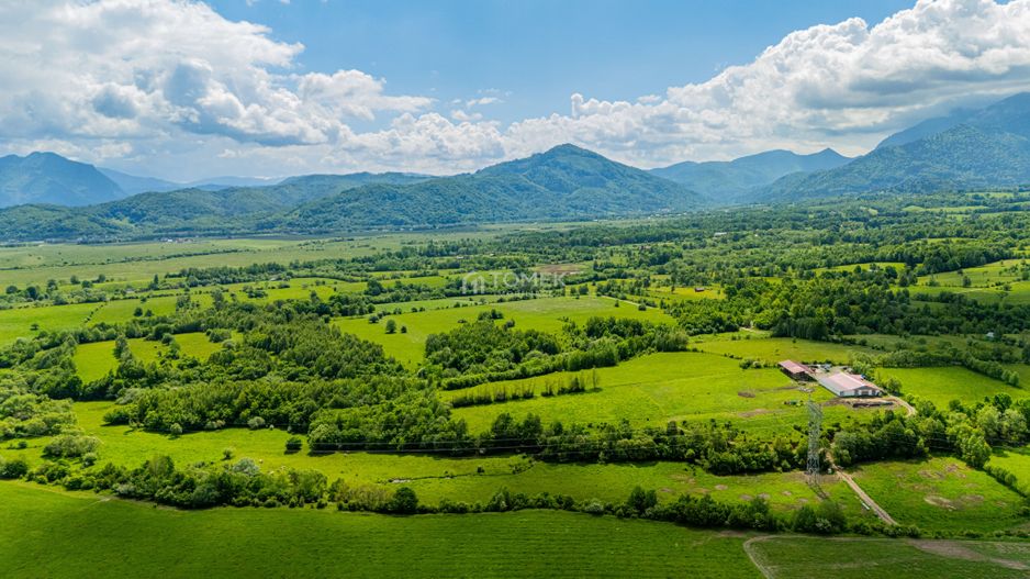 Teren de investiție în zona Tohanul Nou - Bran  5.800 mp - Poză 7