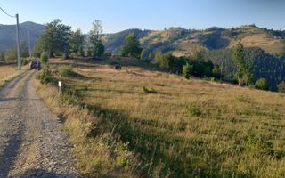 Teren pretabil constructie cabane in Garda de Sus - Poză 4