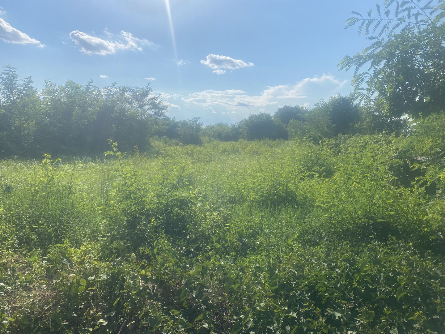 Vanzare teren intravilan cu dubla deschidere - Sacuieni - Poză 4