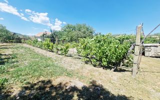 Casa cu gradina in Cricau - Poză 9