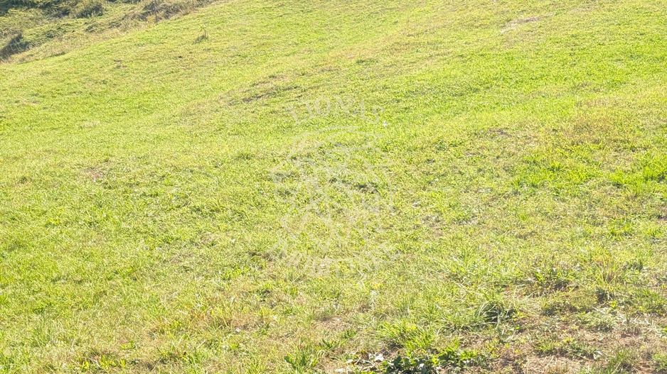 Oportunitate!Teren intravilan 61.38400mp-Parcelabil-utilitati-Colibita - Poză 4