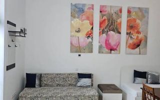 Apartament Tip Studio De Inchiriat | Central | Video De Prezentare La Cerere - Poză 3