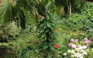 Iosefin-16 Decembrie | 2 Camere | Boxa + Garaj | Mobilat si Utilat. - Poză 16