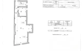 Vila spatioasa | Complet renovată | Central - Poză 34