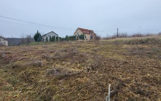 Teren extravilan Paleu - Poză 1