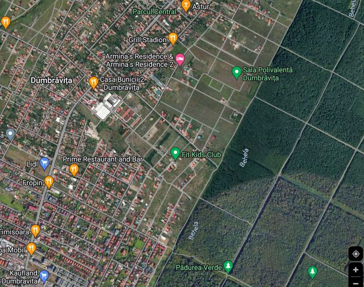 Teren la Padurea Verde in Dumbravita - Poză 2