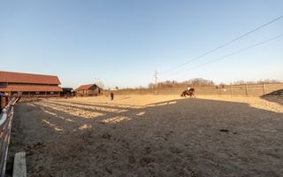 Inchiriere - Centrul de Echitatie Andaluz - Ciocanai, Jud. Arges! - Poză 17
