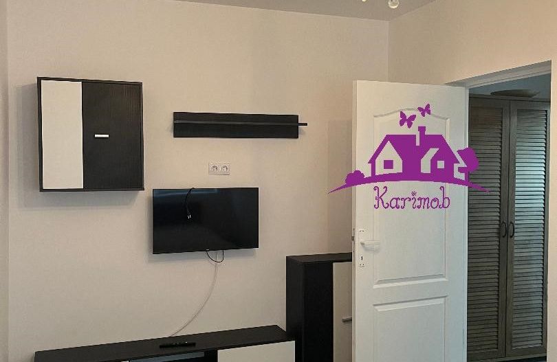 Apartament de inchiriat pe b-dul Dacia - Poză 6