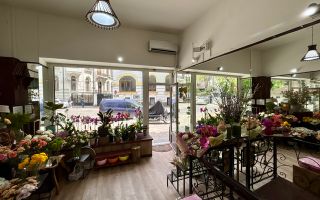Investitie - Spatiu comercial ultracentral, inchiriat cu 900 Euro - Poză 8