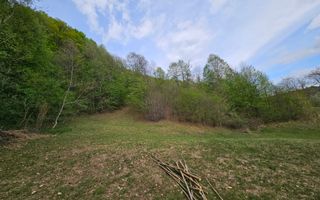 Teren intravilan 1454 mp la marginea padurii zona locuita de case! - Poză 8