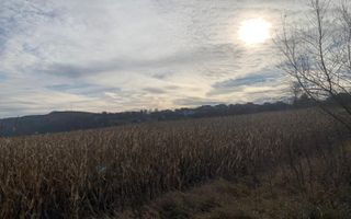 Teren intravilan de vânzare | Cajvana | 7.800 mp - Poză 10