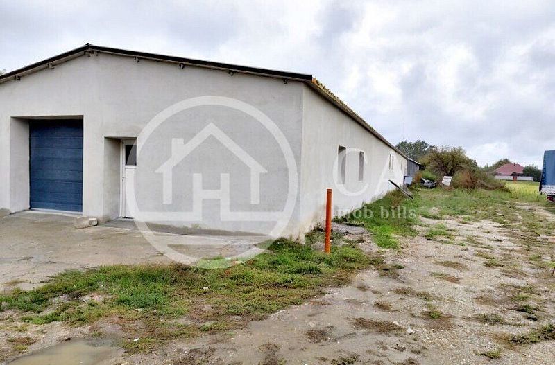 Hala de inchiriat, situata in Santaul Mic, Bihor - Poză 10