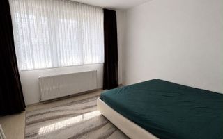 Apartament cu 2 camere Aleea Bizusa Iulius Mall etaj intermediar Persoana Fizica - Poză 4