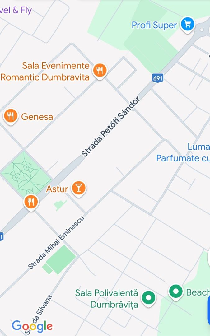 Teren pentru casa individuala Dumbravita/Padure - Poză 3