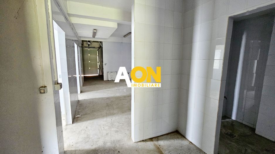 Clădire cu destinație de carmangerie în Ighiu - Potențial investitie! - Poză 5