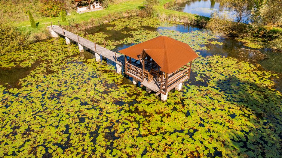 Domeniu în satul Căprioara - Poză 23