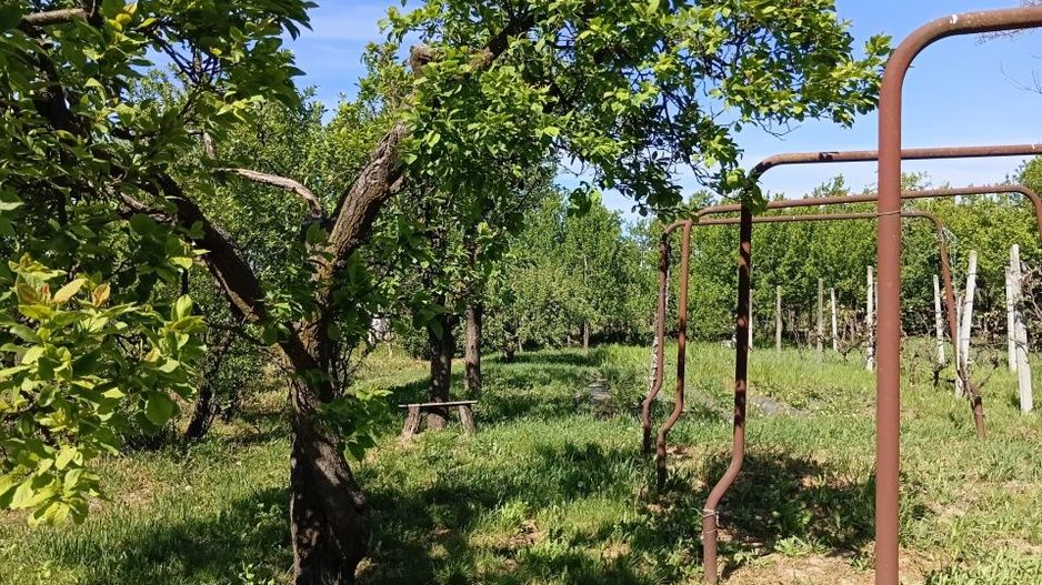De Vânzare Casă Culciu Mare Satu Mare - Poză 5