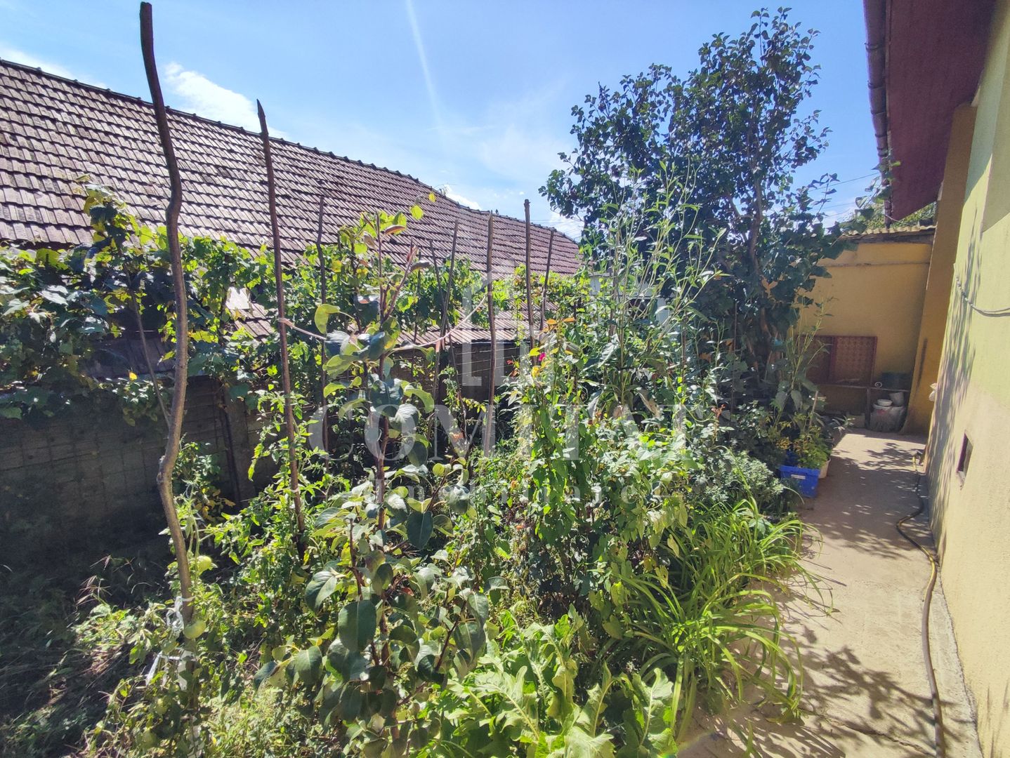 Casă cu 3 camere | 120 mp | Finisaje clasice | Dâmbul Rotund - Poză 10