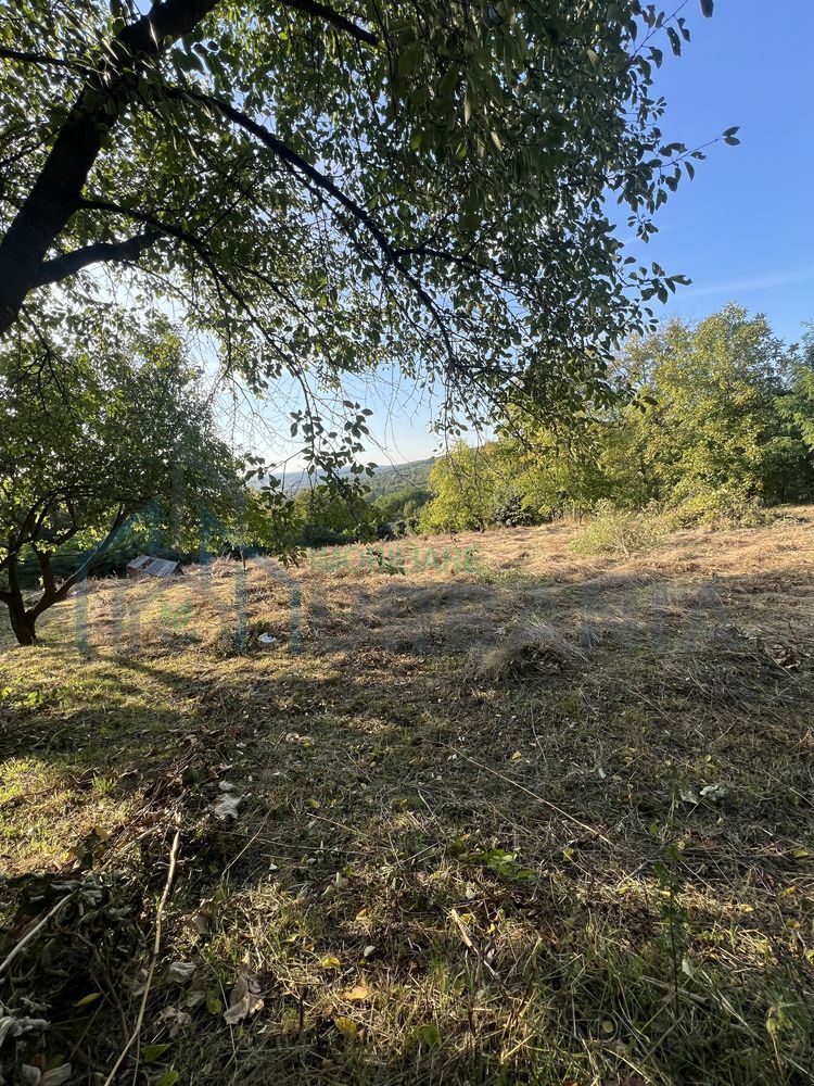 Teren intravilan 3003 mp cu casă bătrânească, fântână și curent electric în Dobrovat, Iași - Poză 8
