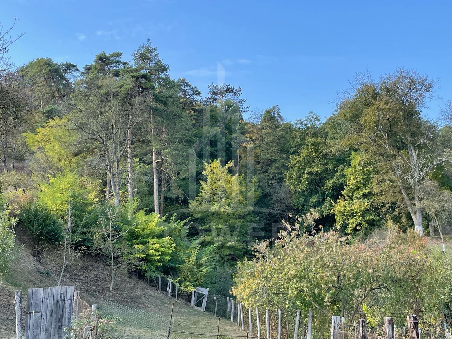 Casa de vanzare - teren 1400 mp - Laslea , Sibiu - Poză 12