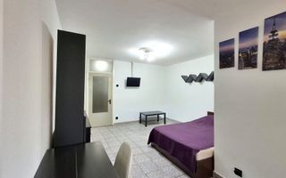 Garsonieră spațioasă de vânzare | Teiul Doamnei | Sos Colentina | Tei - Poză 4