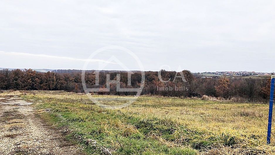 Teren intravilan de vânzare in Saldabagiu de Munte, Oradea - Poză 4