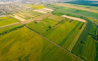 50 ha teren compact în Bujac - Poză 4