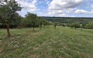 De vânzare teren extravilan în Sibiel, jud. Sibiu – 3223 mp - Poză 9