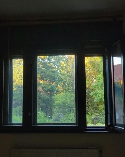 De vanzare Apartament 3 camere în vilă, Kiseleff, Arcul de Triumf - Poză 7