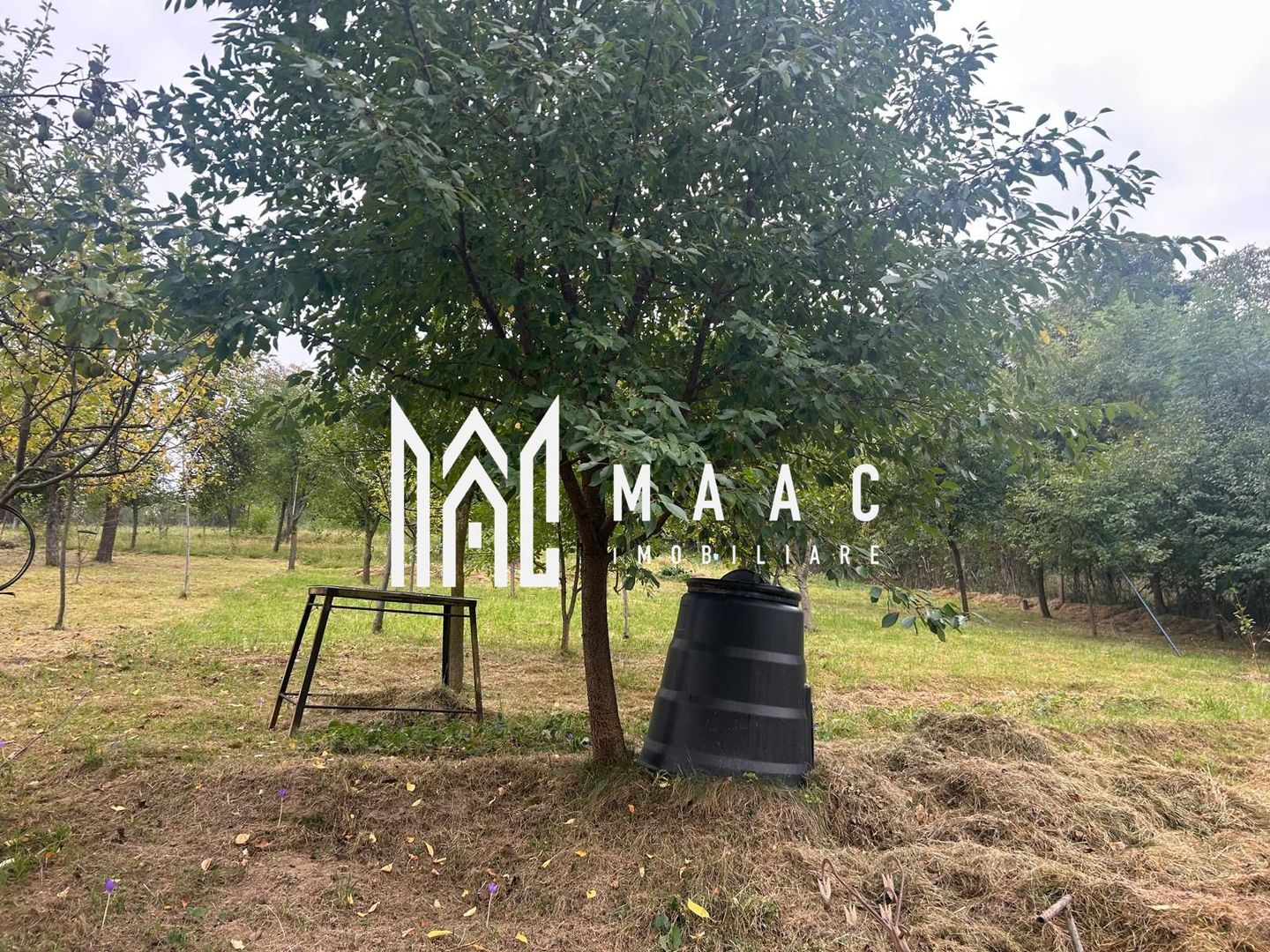 Casa Individuala I 2 Camere I Rasinari - Poză 10